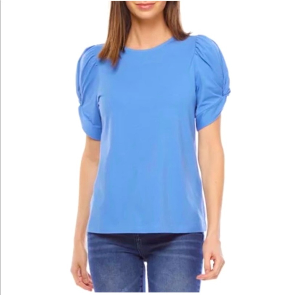 Petite Large Puffy Sleeve Blue Top by Crown & Ivy